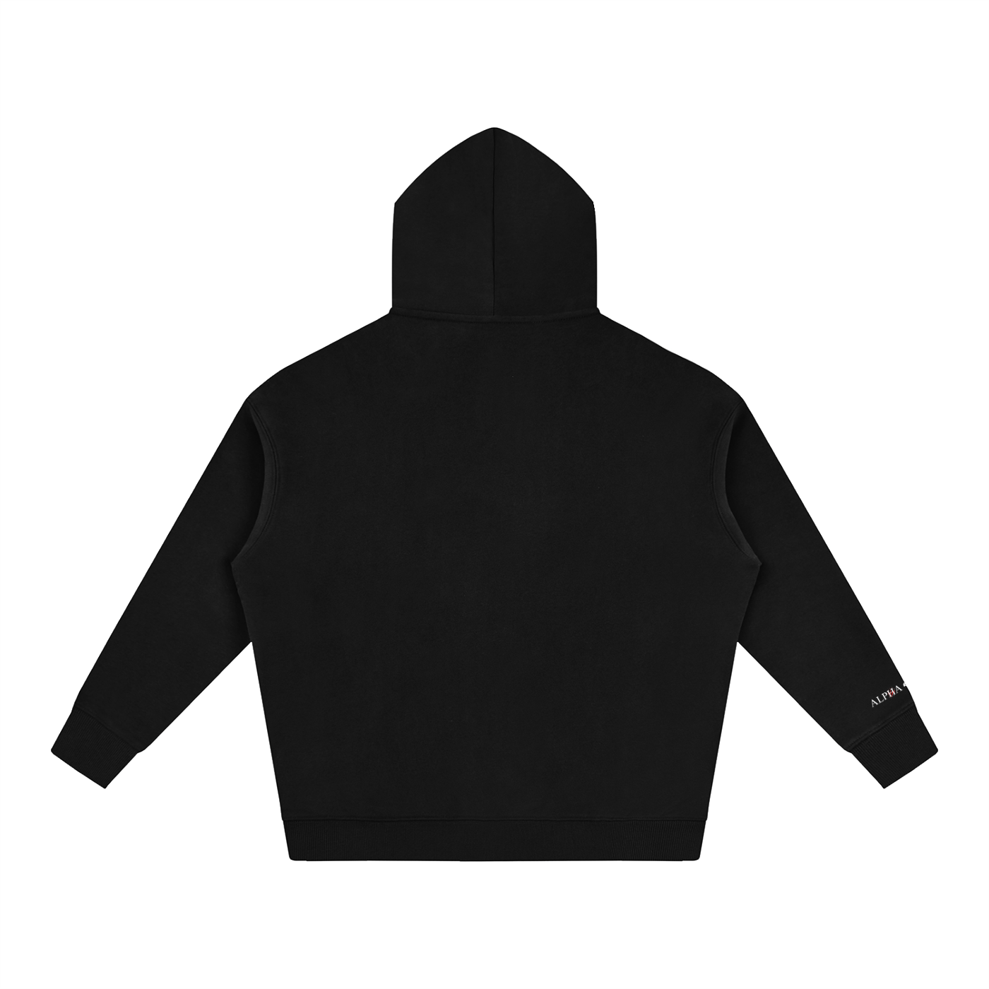 AR ASCENSION HOODIE